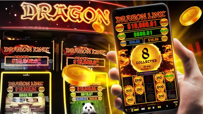 Live Casino Dealer